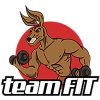 Team fit logo